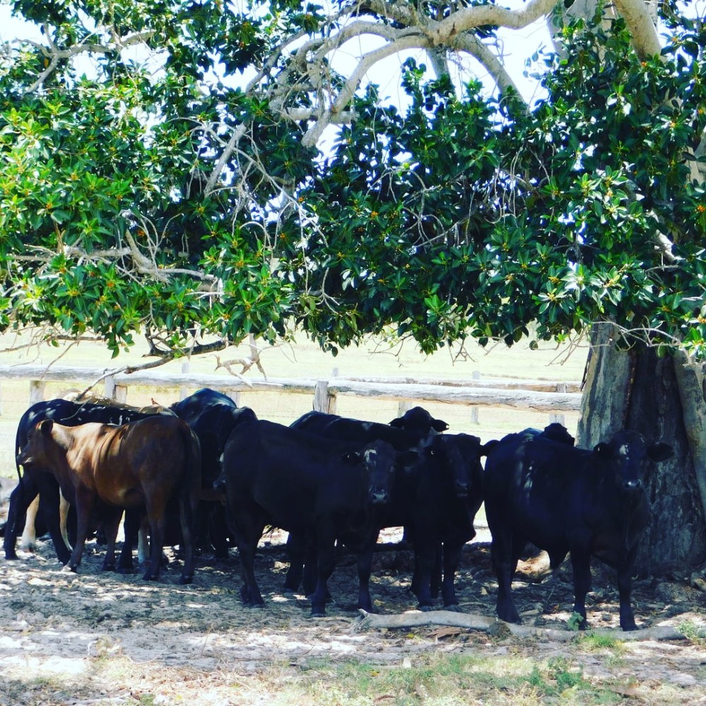 IMG_20180203_082556_911